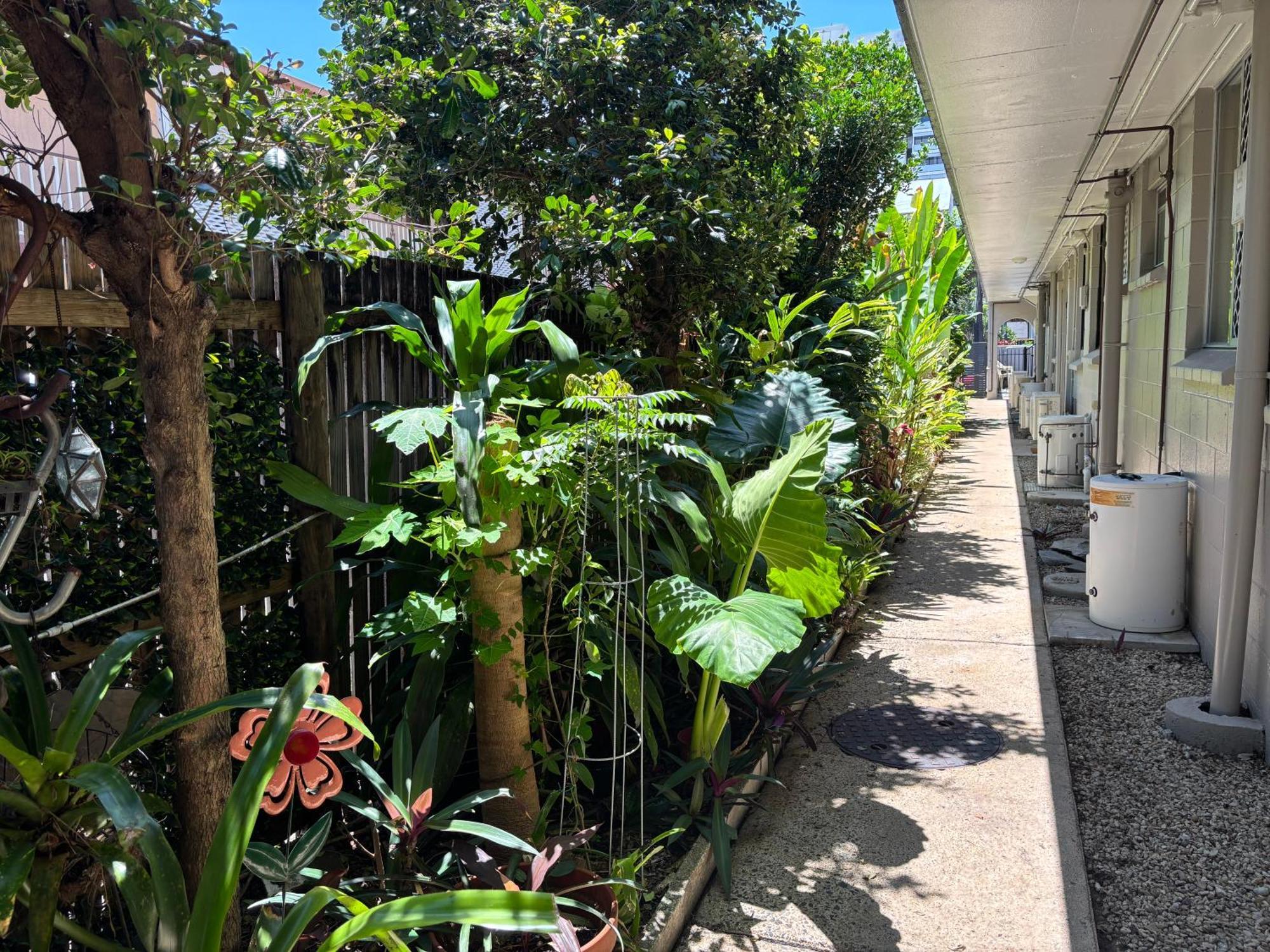 Tropical Ground-floor Retreat Apartment Cairns