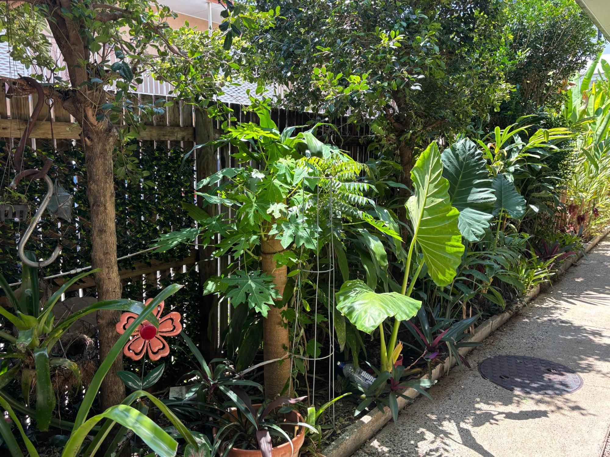 Tropical Ground-floor Retreat * Cairns