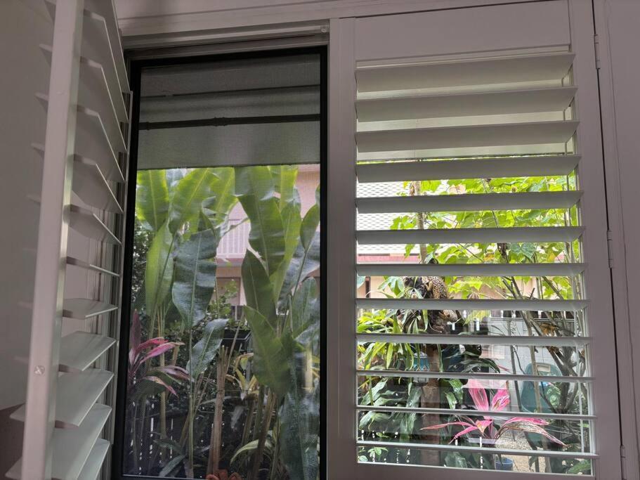 Tropical Ground-floor Retreat Apartment Cairns